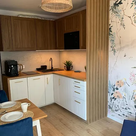 Piaskowe Z Balkonem דירה רובי