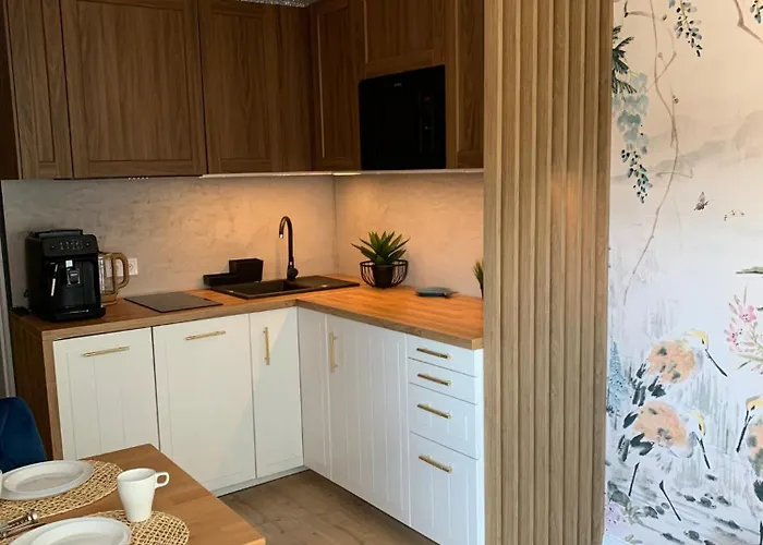 Piaskowe Z Balkonem Apartamento Rowy (Pomerania)