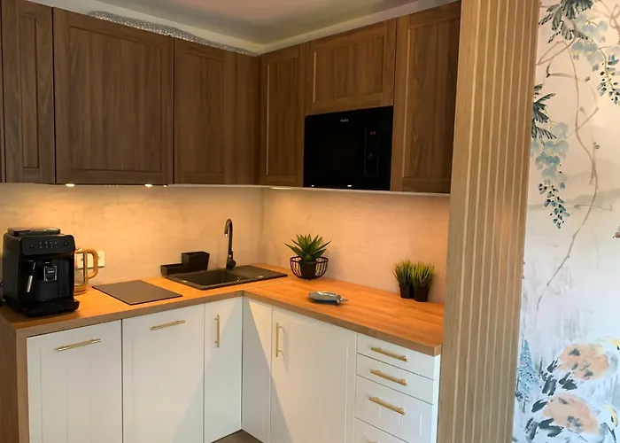 Piaskowe Z Balkonem Rowy (Pomerania)